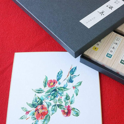 Encre Japonaise Colorée Kuretake Saiboku Shimbi 14 Pièces – Coffret Premium Peinture & Sumi-e