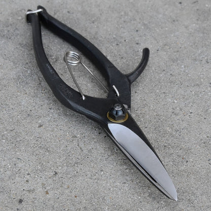 Ciseaux japonais de précision KUROCO – 75 mm – Acier Aogami – Avec arrêt de sécurité (droitier)