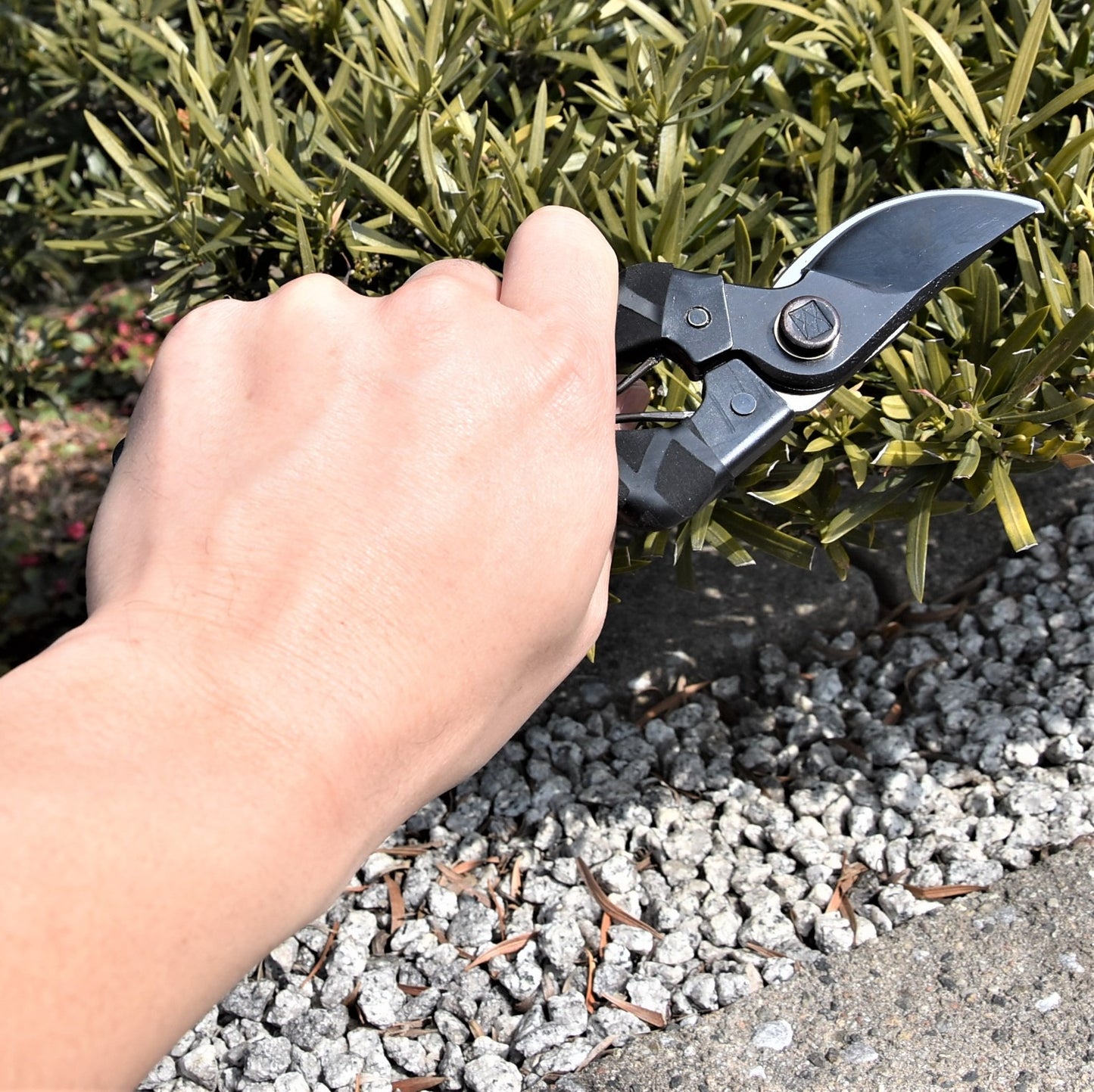 Sécateur japonais Masamune – Acier Aogami Blue Steel – 200 mm – Droitier / Gaucher