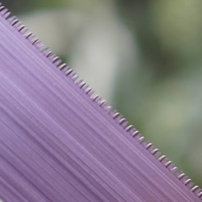 Mitsukawa Juntaro – Japanese fine diagonal cutting saw 170 mm