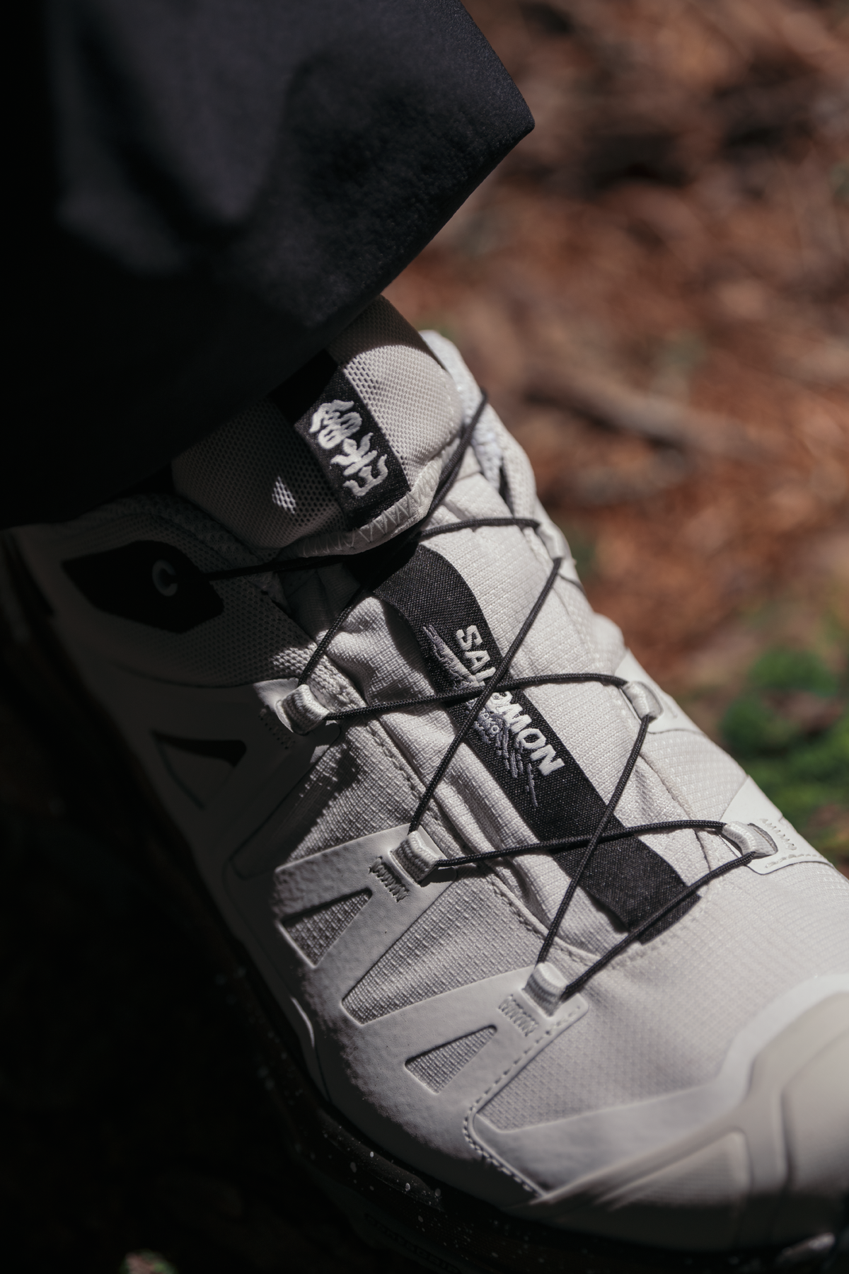 Salomon X Ultra 360 GORE-TEX Goraiko – vue 3