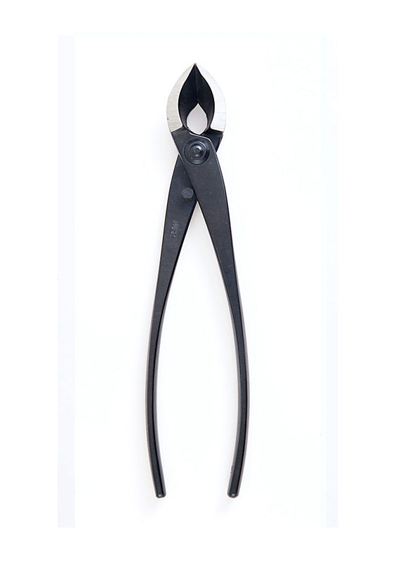 Pince Concave Bonsaï – Coupe des Branches (Acier Standard, 2 Tailles)