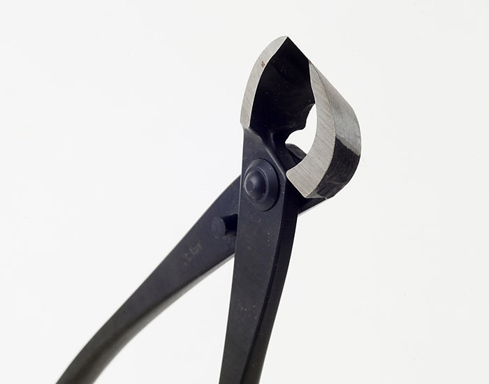 Pince Concave Bonsaï – Coupe des Branches (Acier Standard, 2 Tailles)