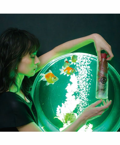 Art Aquarium Vinyl Folding Umbrella × Wpc. – Goldfish & Light | Artistic Umbrella