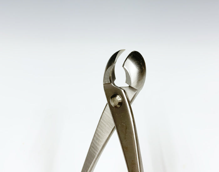 Alicates Cóncavos de Acero Inoxidable para Bonsái – Corta Ramas y Tronco (175 mm / 205 mm)