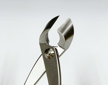 Pince Concave Bonsaï Inox – Coupe des Branches (2 Tailles : 165 mm et 205 mm)