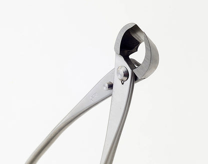 Pince Concave Bonsaï Inox – Coupe des Branches (2 Tailles : 165 mm et 205 mm)
