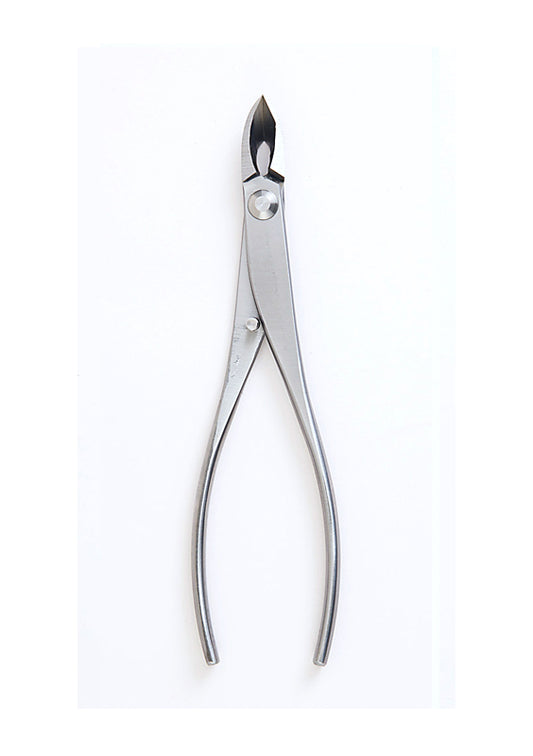 Pince Concave Bonsaï Inox à Pointe Fine – Coupe Précise (180 mm)