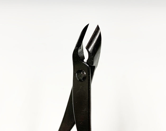 Pince Concave Bonsaï Pointe Fine – Coupe Précise (180 mm, Acier)