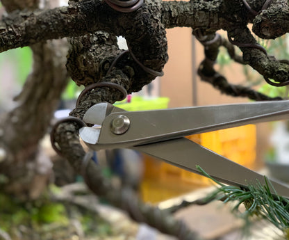 Tijeras Corta Alambre para Bonsái – Corte Preciso de Alambre de Aluminio y Cobre (200 mm)