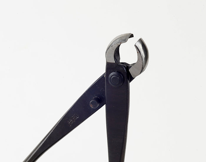 Pince Coupe Nœuds Bonsaï – Finition Tronc et Branches (150 mm / 210 mm)