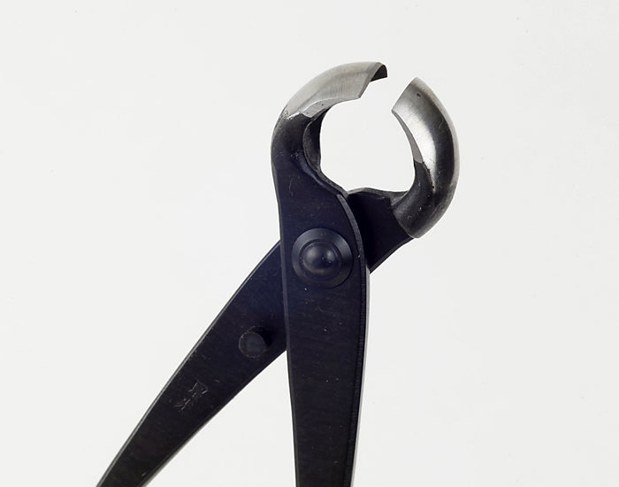 Pince Coupe Nœuds Bonsaï – Finition Tronc et Branches (150 mm / 210 mm)