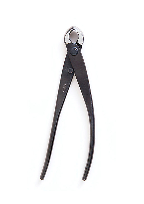 Pince Coupe Nœuds Bonsaï – Finition Tronc et Branches (150 mm / 210 mm)