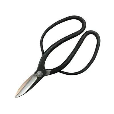 Ciseaux de Jardin Japonais SAKURA – Sécateur Sakai Style 210 mm Acier Yasuki Blue Steel