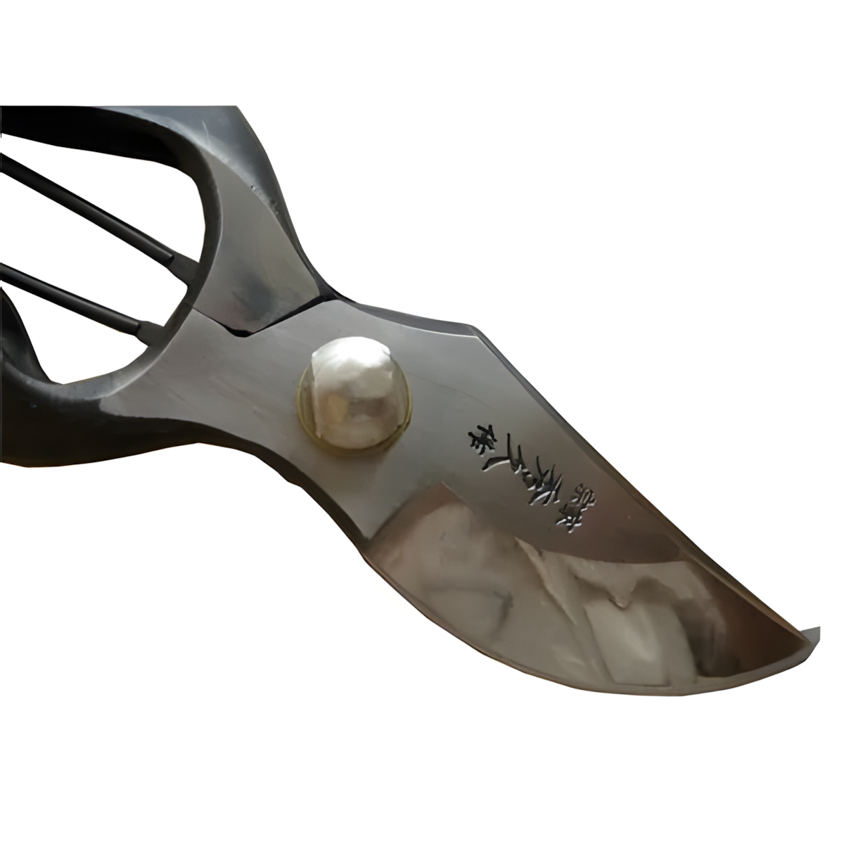 Hidehisa Japanese Pruning Shears 180 mm / 200 mm – YP & BB Series – Made in Japan
