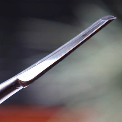 Jeu de ciseaux japonais d’ébénisterie 10 pièces – Acier HSS (High Speed Steel)