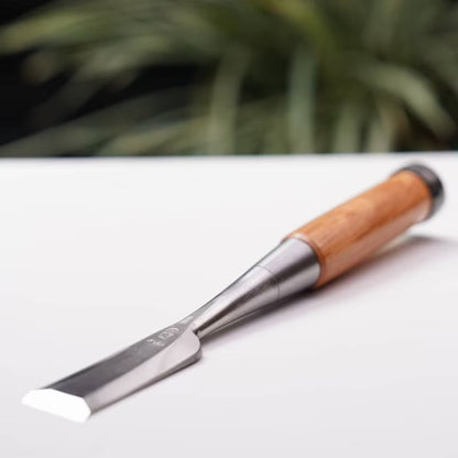 Jeu de ciseaux japonais d’ébénisterie 10 pièces – Acier HSS (High Speed Steel)