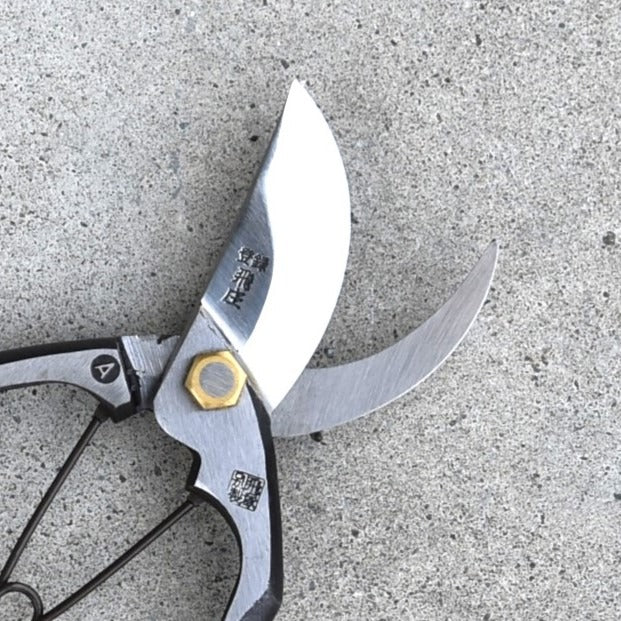 Sécateur japonais Tobisho A 200 mm – Acier Yasuki brasé – Léger & précis