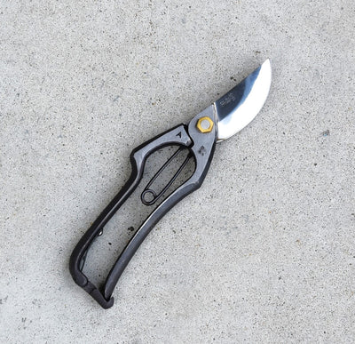 Sécateur japonais Tobisho A 230 mm – Acier Yasuki – Professionnel forgé main